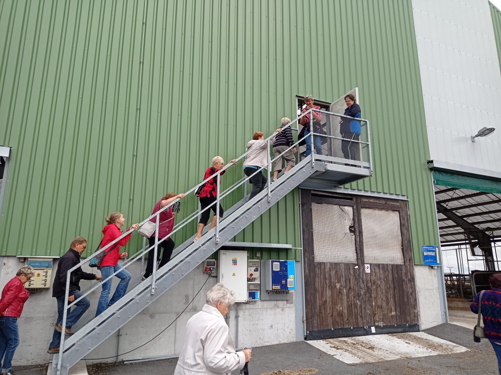 IMG-20210919-WA0031